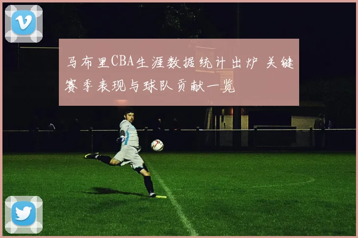 马布里CBA生涯数据统计出炉 关键赛季表现与球队贡献一览