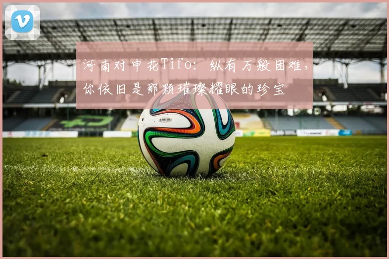 河南对申花Tifo：纵有万般困难，你依旧是那颗璀璨耀眼的珍宝